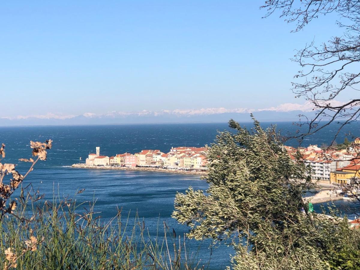 Apartment Modrin Piran Luaran gambar