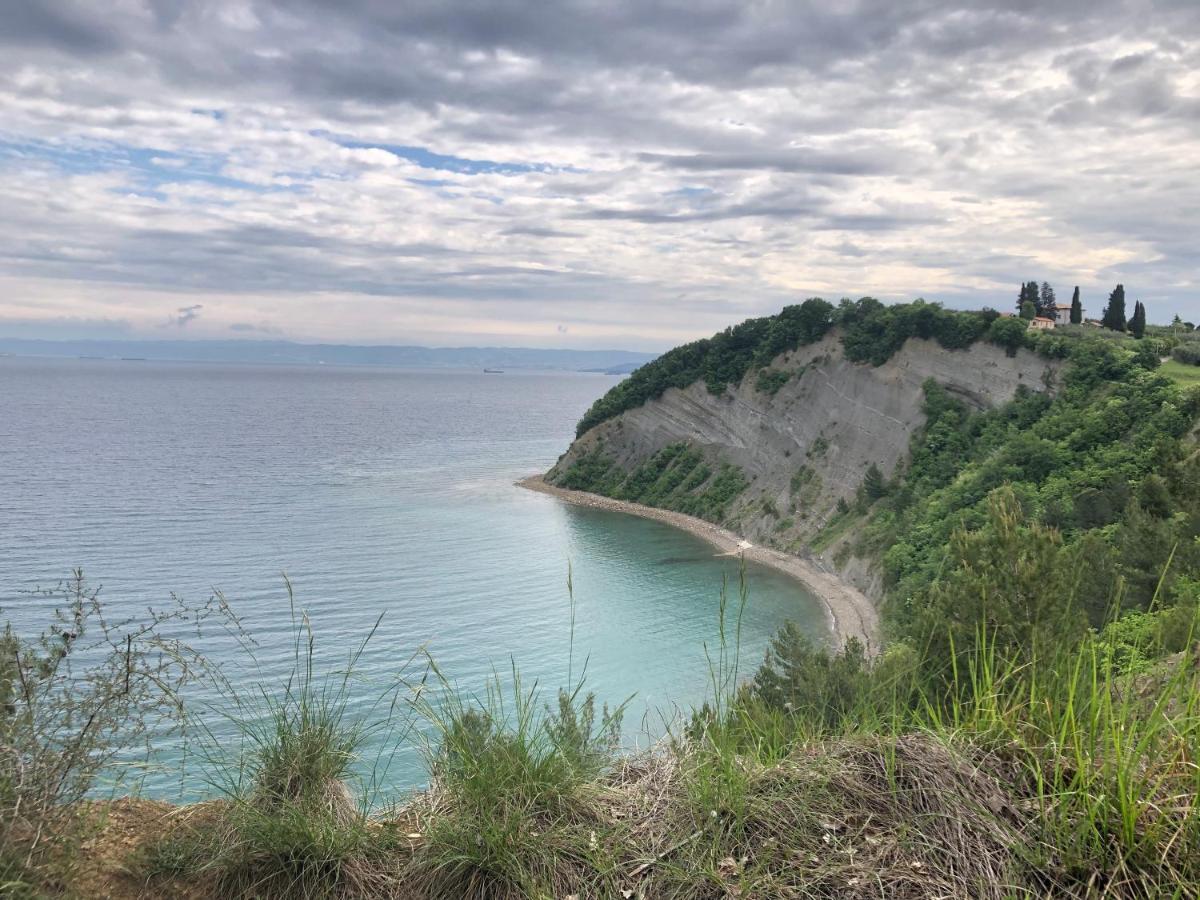 Apartment Modrin Piran Luaran gambar